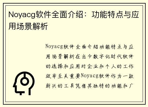 Noyacg软件全面介绍：功能特点与应用场景解析